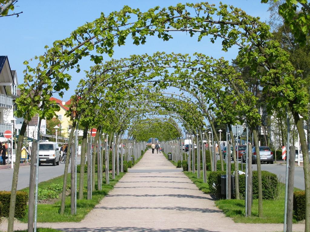 Traumferienwohnung Ostseebad - Rugen Appartement *